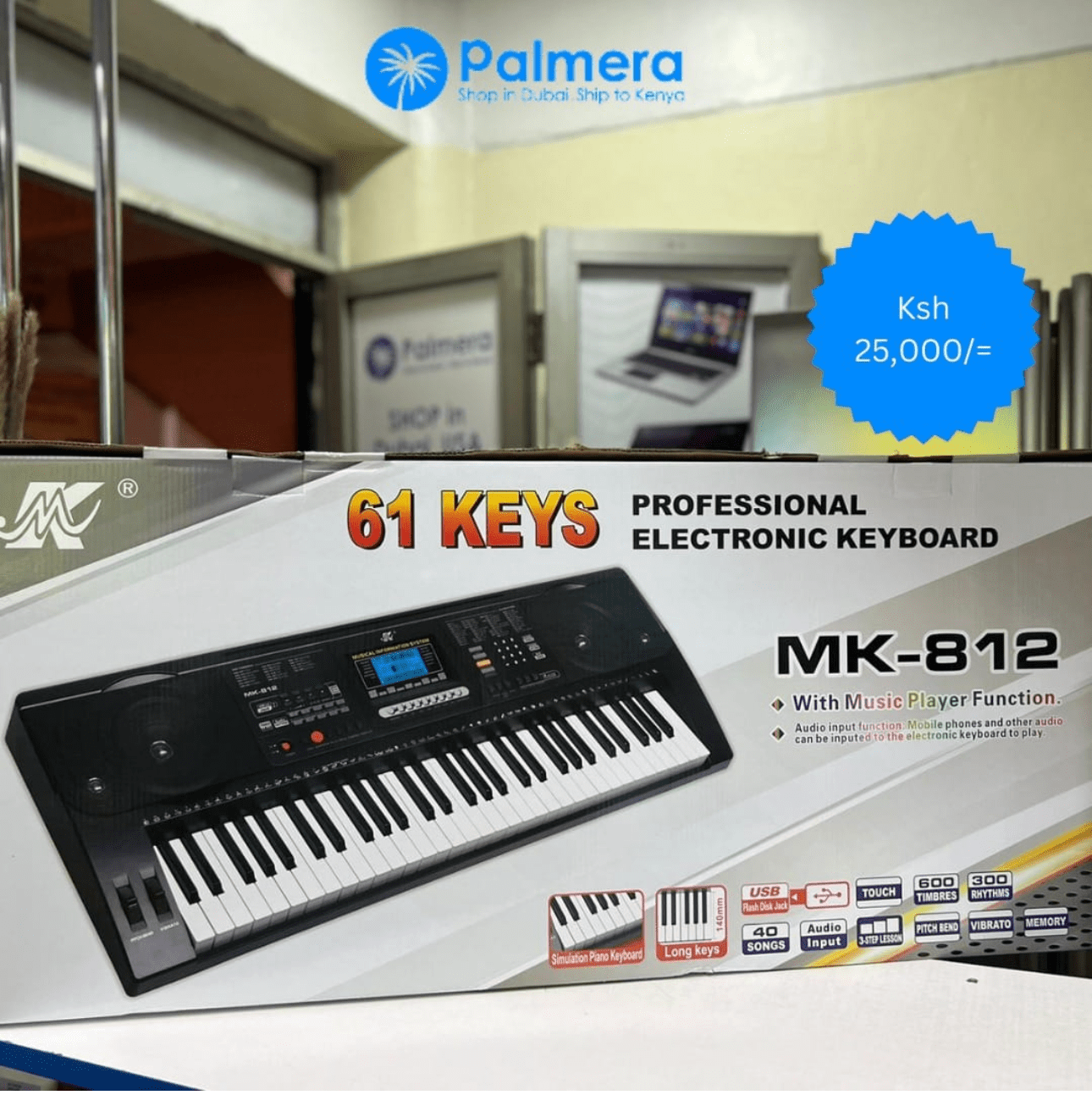 Professional Electronic Keyboard MK-812