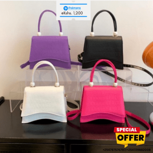 Fashionable Ladies Handbag