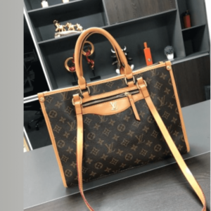 Louis Vuitton Designer Bag